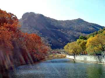 福建省诏安县发布大风黄色预警_2