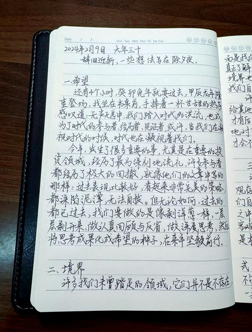 用Vlog记录生活点滴分享喜怒哀乐 这届年轻人“写日记”太秀了