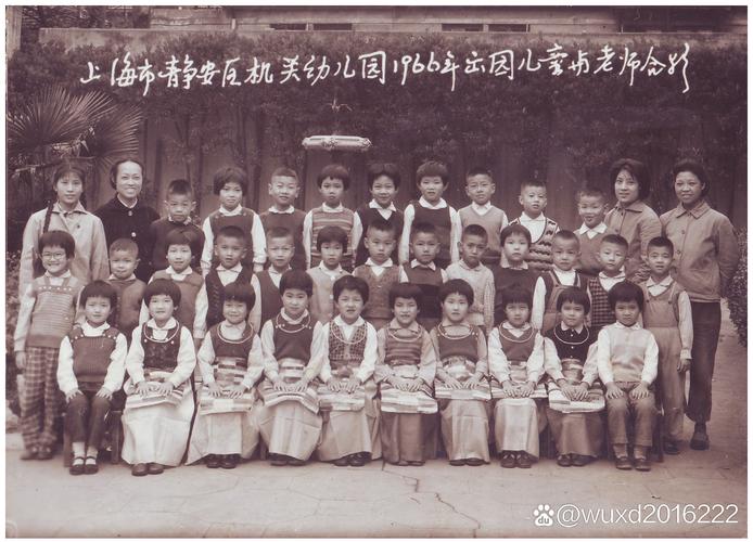 上海一幼儿园枯树奇迹般“复活”!果实满枝的背后是他们的守护
