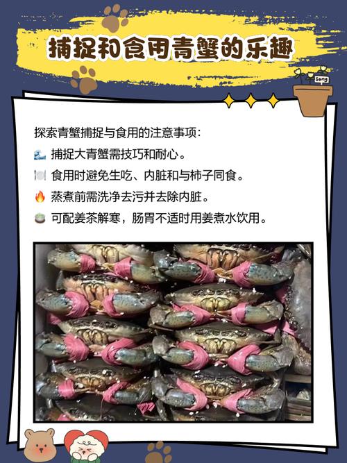 黄河三角洲近3万亩青蟹丰收!宁大提供“南蟹北养”关键技术