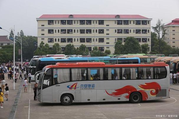 学校包车组织秋游 一辆“黑大巴”混入其中被揪出