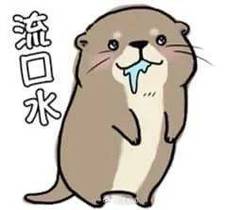 难得一见!“嘤嘤怪”欧亚水獭重现,看抢鱼画面→