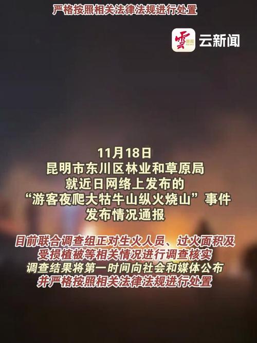 游客在大牯牛山“纵火烧山”?官方通报:12人被处罚