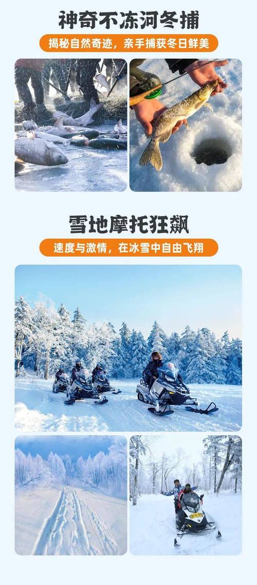 黑龙江:冰雪游让“猫冬”变“忙冬”