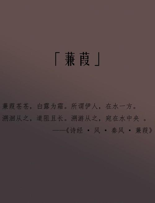 蒹葭是什么植物?(把自然讲给你听)