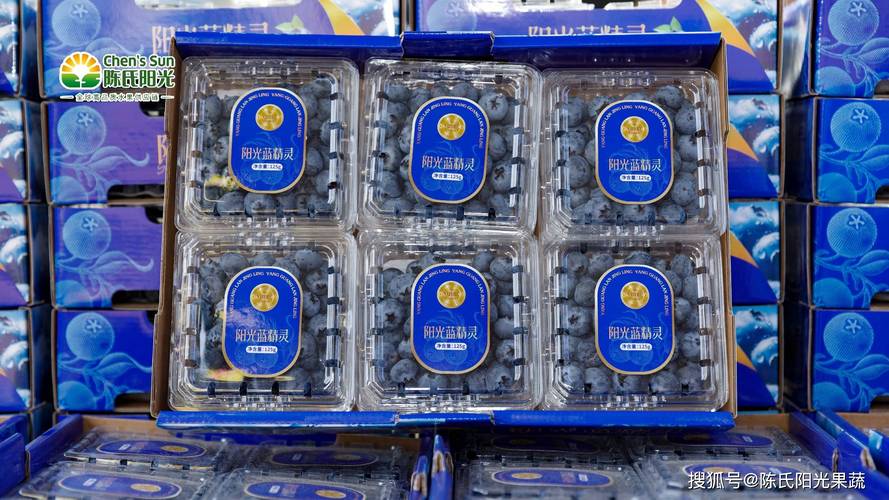 “舶来品”变身“土特产” 中国蒙自蓝莓出口量大增