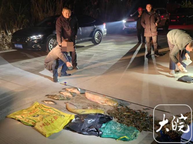 非法捕捞5只锦绣龙虾 三亚3人被刑拘