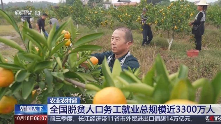 重庆脱贫人口务工规模稳定在82万人以上