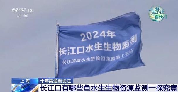 长江全面禁渔以来鱼儿们过得怎么样?一起去找鱼