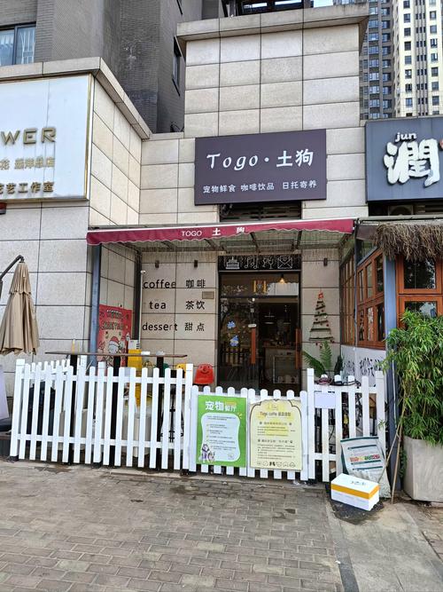 蒙城县这处院落里有一个猫狗乐园