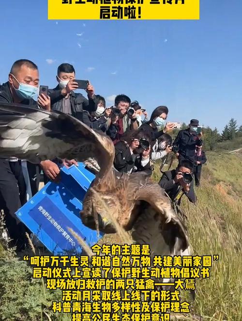 青海:将不断探索科技创新在野生动植物保护中的重要作用