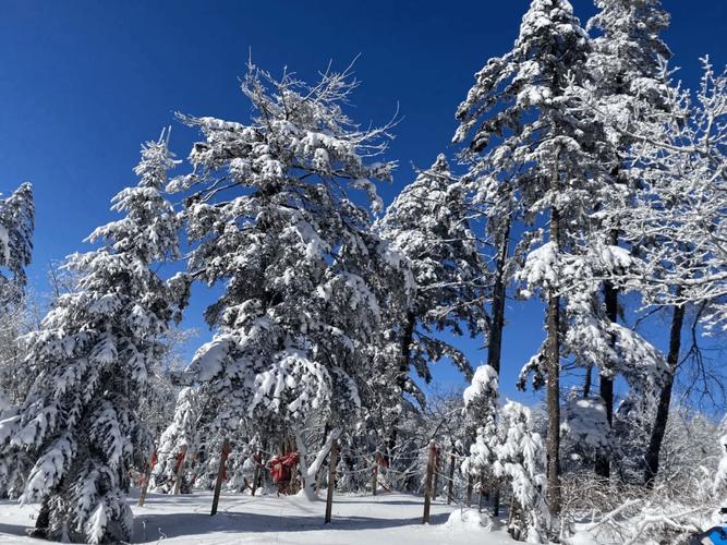 26日午后,延边、长白山保护开发区有小到中雨转小到中雪