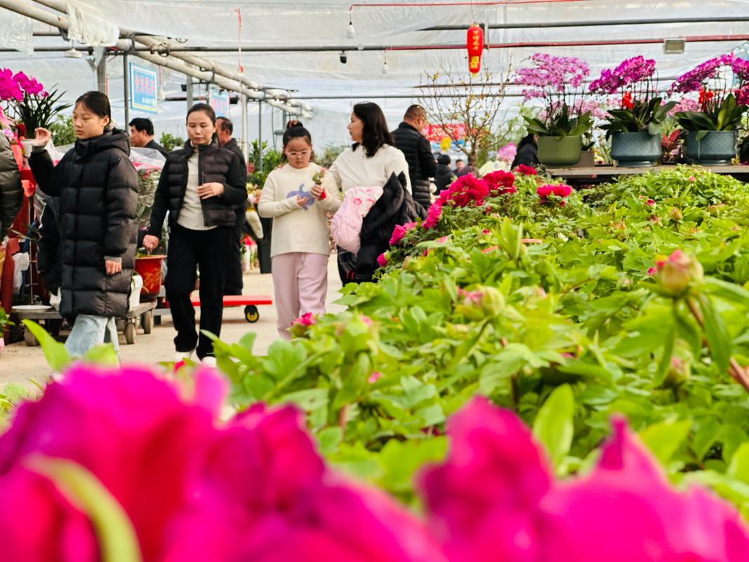 赏花经济别样红