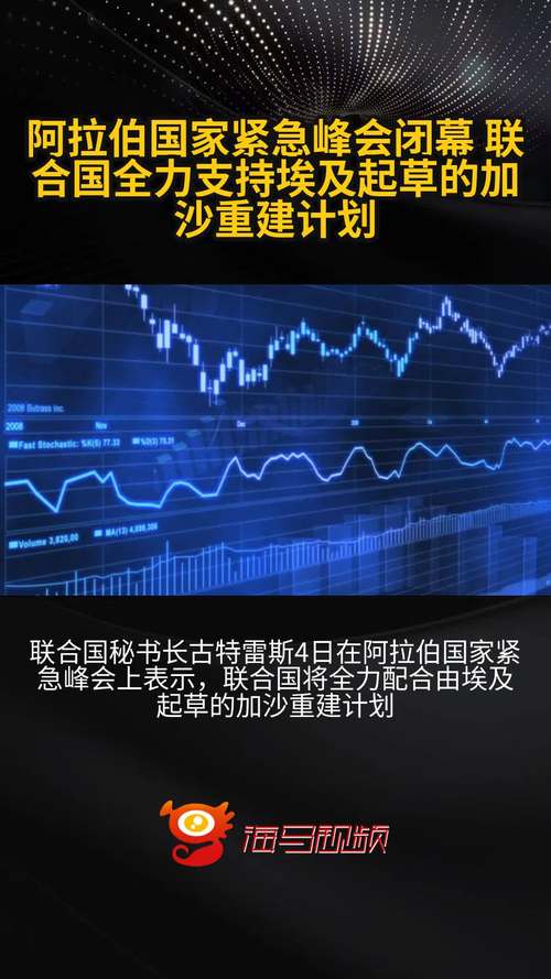 阿联酋和埃及完成第24次人道主义空投
