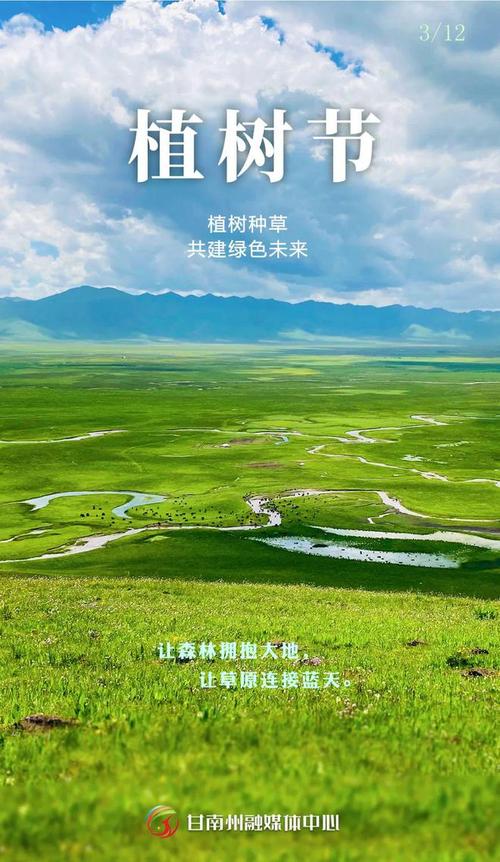 青海海南:植树添新绿 不负好时节