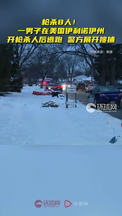 美国伊利诺伊州发生枪击事件 已致8人死亡