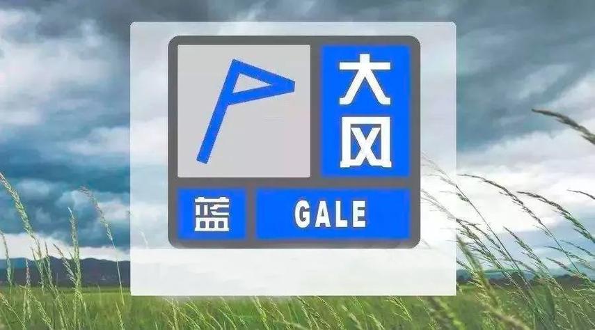 黑龙江省萝北县发布大风蓝色预警_3