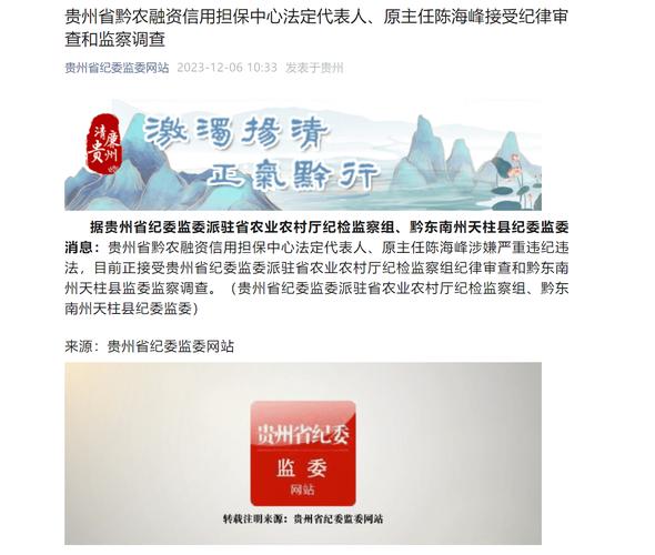 贵州省黔农融资信用担保中心法定代表人、原主任陈海峰接受审查调查