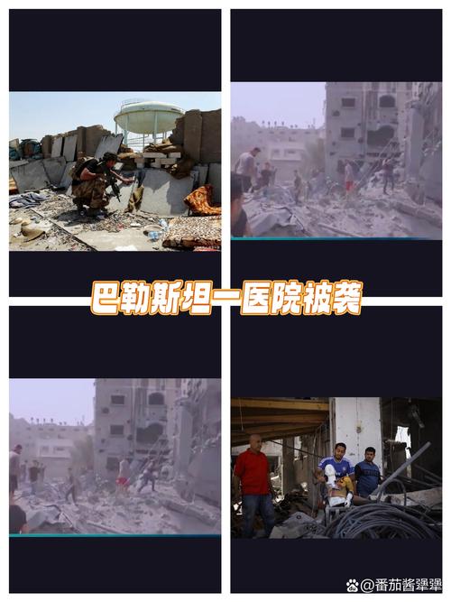 加沙地带卫生部门:81名巴勒斯坦人在以军夜间空袭中丧生
