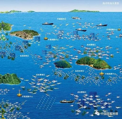 给海洋送鱼、用贝类净水 蓝色粮仓“种”出这些新成果