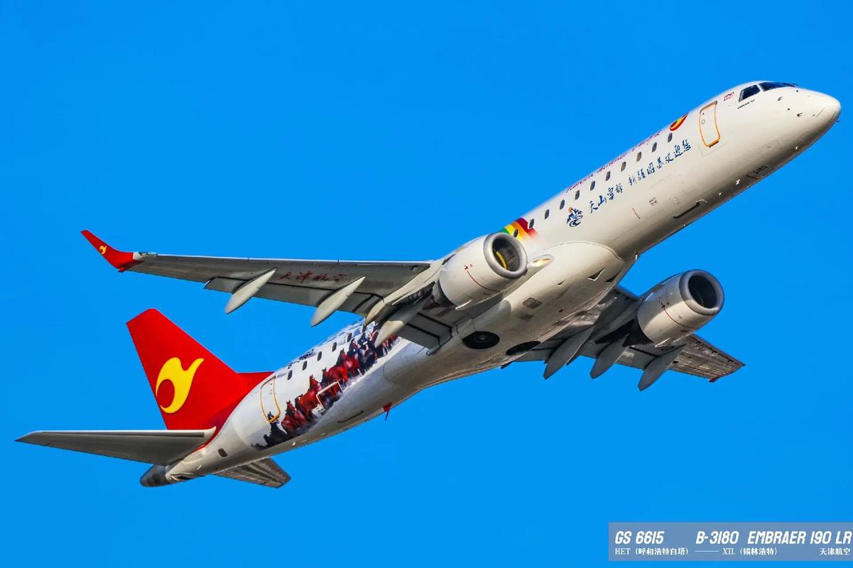 退役空客飞机运抵天津东疆 将打造新旅游综合体