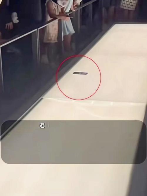 辛追夫人棺椁被游客手机砸中?回应来了