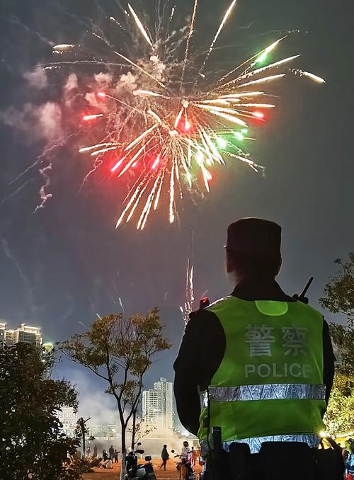 祥和春节里的“平安蓝”