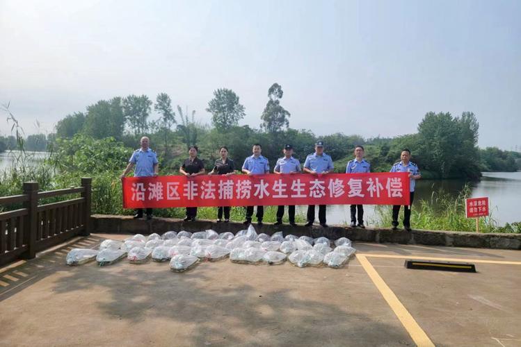 联合开展增殖放流活动
