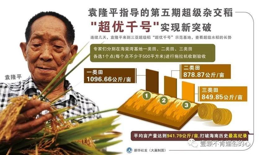 (聚焦中国高质量发展)中国杂交水稻为世界献“粮”策
