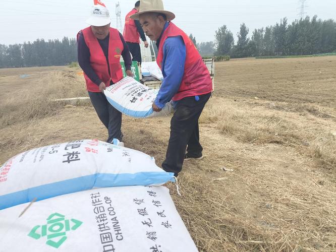河南延津:土地托管助增收