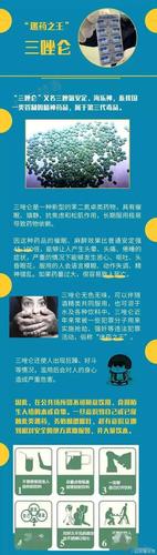 非法购入精神药品“咪达唑仑” 在读硕士生犯走私毒品罪获刑