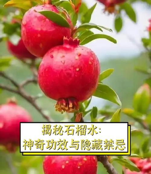 良渚古城遗址公园:文化活水滋养“石榴果”