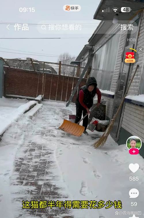 风雪寒夜访农家——记者探访吉林舒兰洪灾重建村