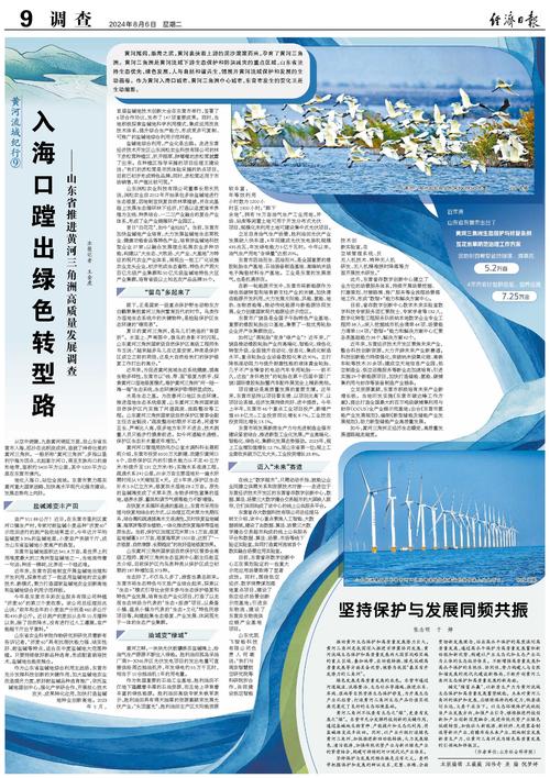 飞越渤海 抵达黄河三角洲 实地追踪丹顶鹤“壮壮”迁徙轨迹→
