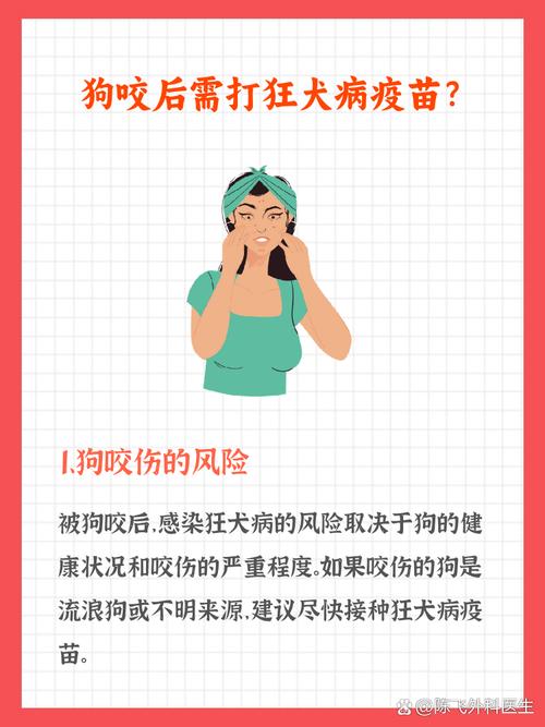 预防狂犬病,别被猫狗咬就够了吗?还有这些需要注意→