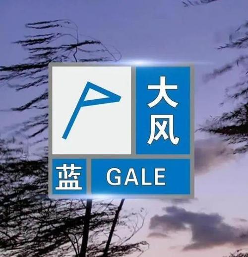 陕西省志丹县发布大风蓝色预警_5