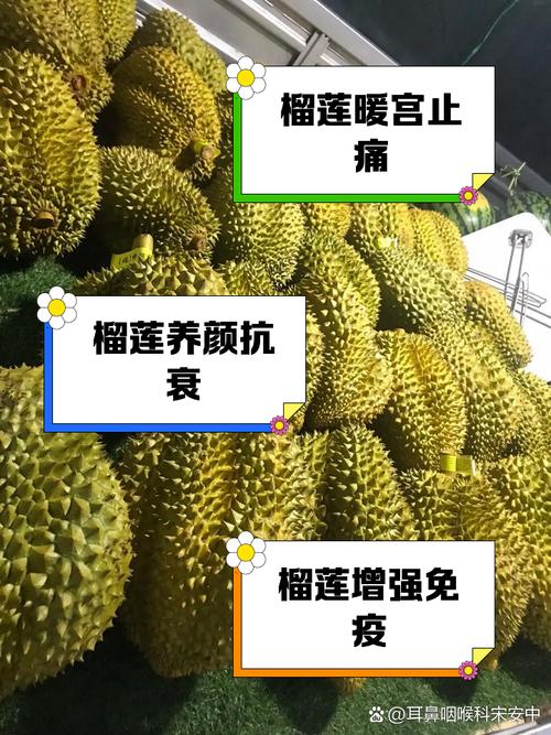 台风后榴莲如何恢复生产?来听榴莲专家的建议
