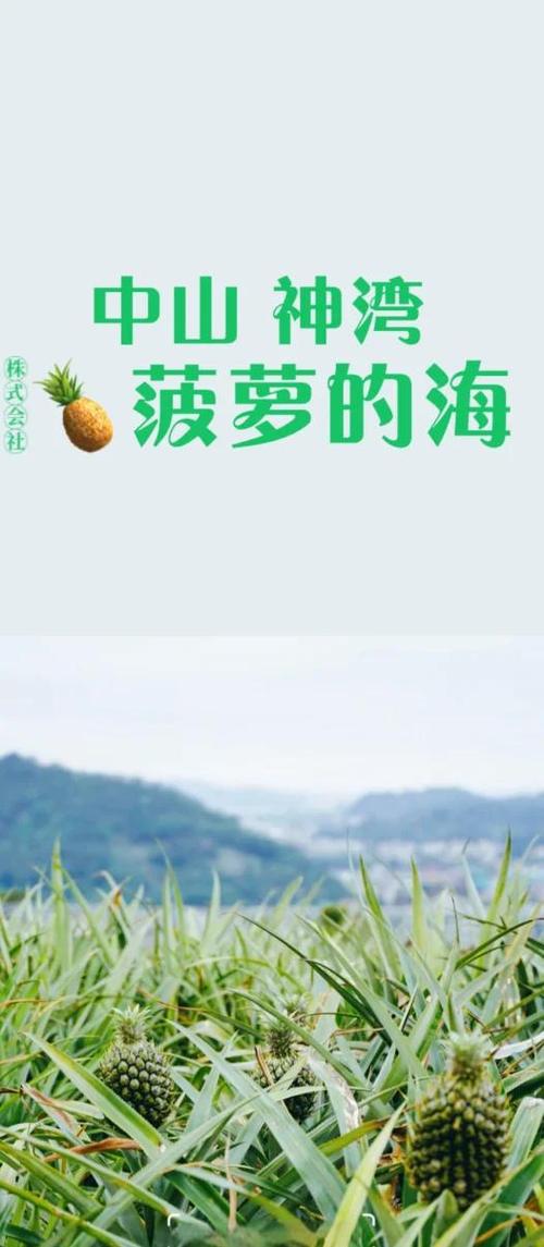 春天也是丰收季!换种方式打开“菠萝的海”