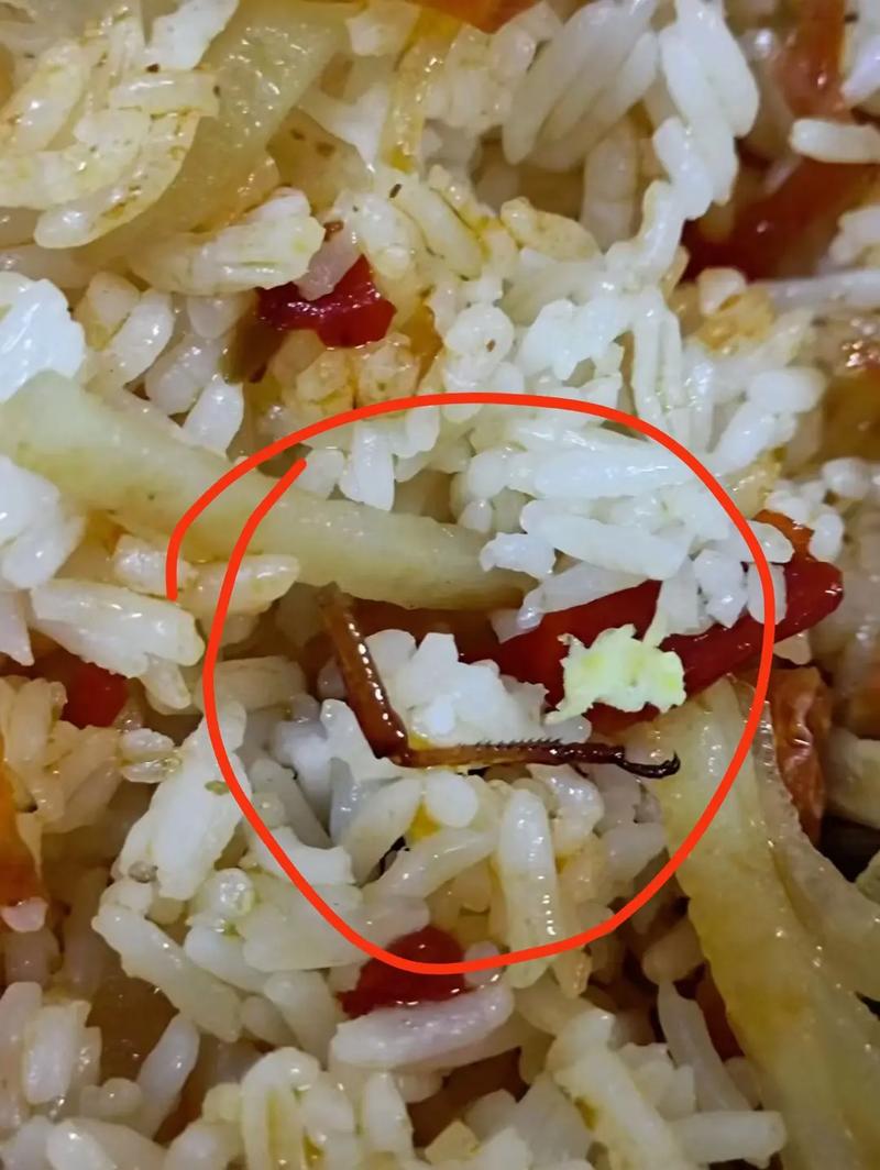 一盘菜吃出近20只小蟑螂,还在爬……商家回应