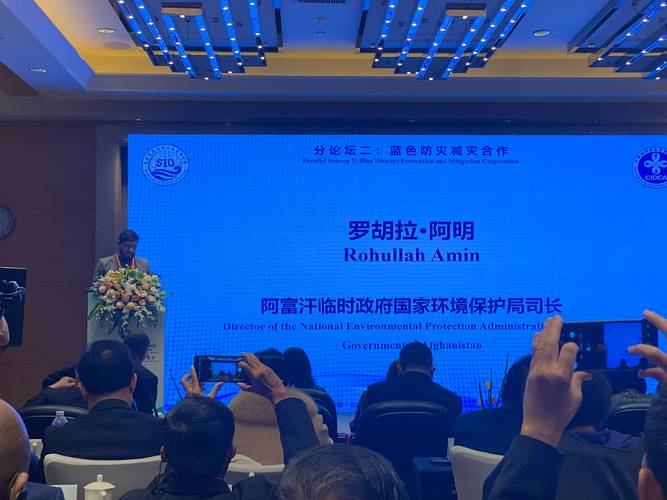 阿富汗临时政府发言人:中亚-南亚1000兆瓦输电工程项目重启