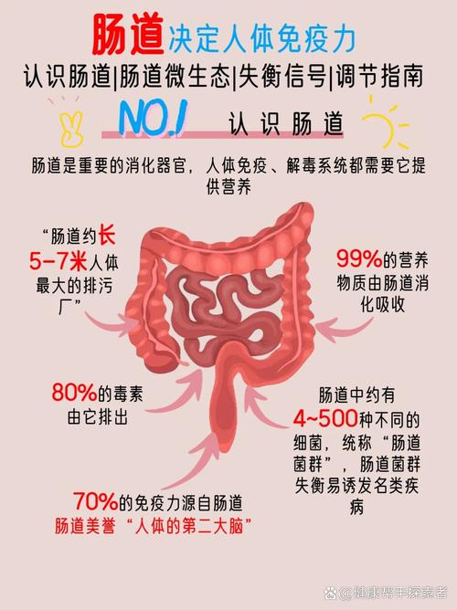 肠道好的人免疫力更强!这“肠道5怕”,速改