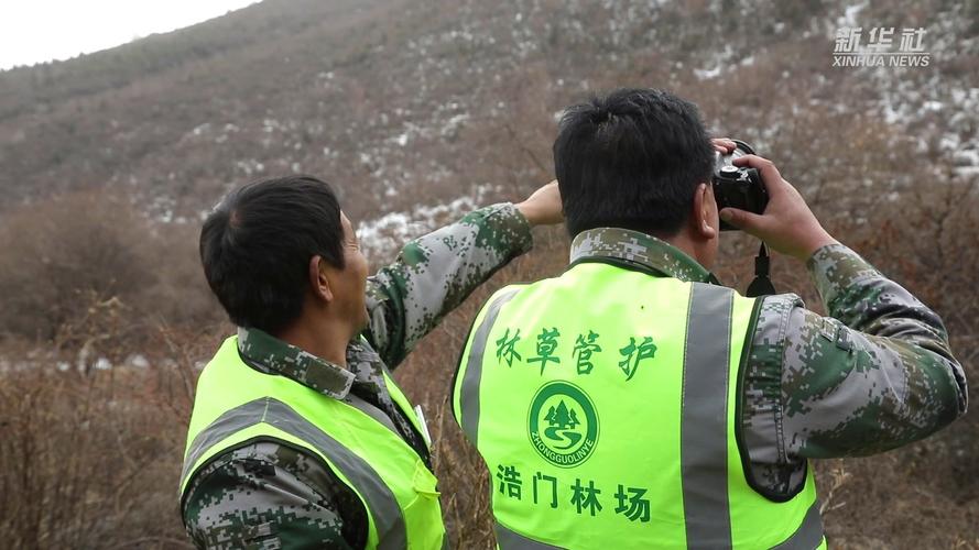 (新春走基层)深山护林员师徒的春节时光:踏雪巡护不打烊