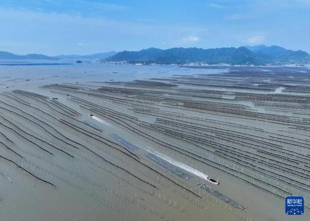 福建:耕海牧渔 建设“海上粮仓”