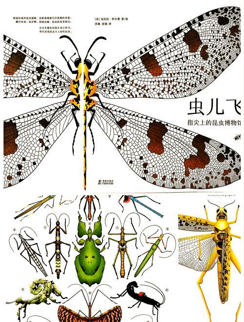 昆虫飞行有何奥秘?国际最新研究揭晓翅膀铰链工作原理