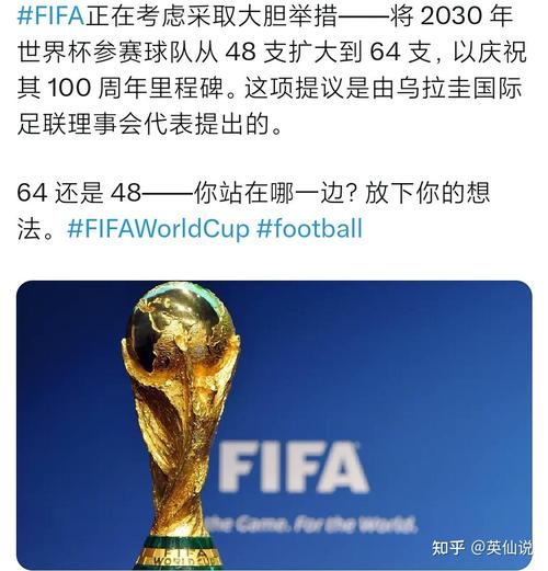 国际足联:正考虑将2030年世界杯参赛队伍扩至64支