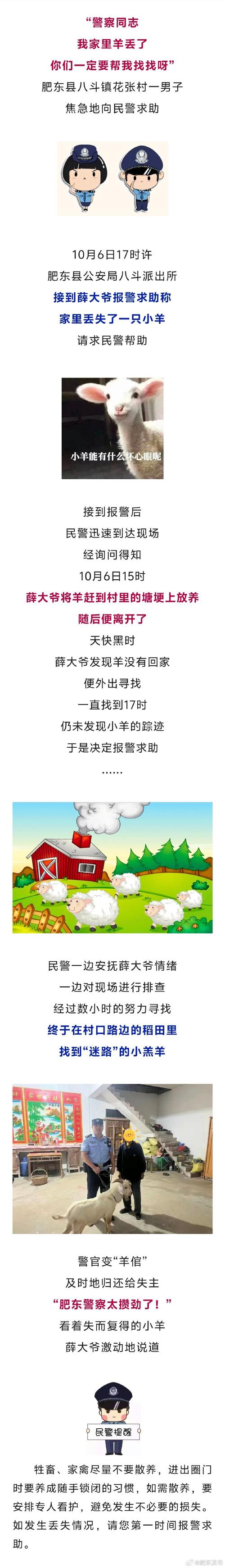 一只都不少!民警急流中上演“捞羊大战”
