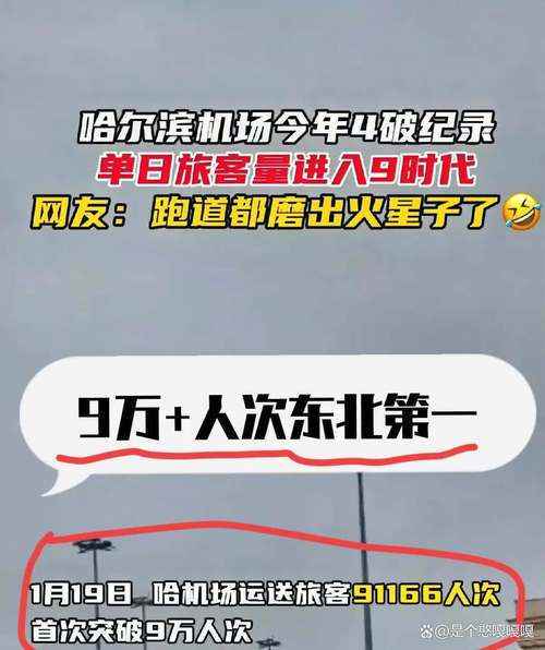 哈尔滨机场最近有多忙?单日运送旅客量连创新高