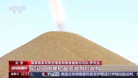 透过数据看“大国粮仓”的底气 科技装备助力秋粮丰收