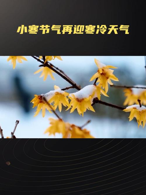 坐稳了!气温“过山车”又要发车了 小寒节气或再迎寒冷暴击