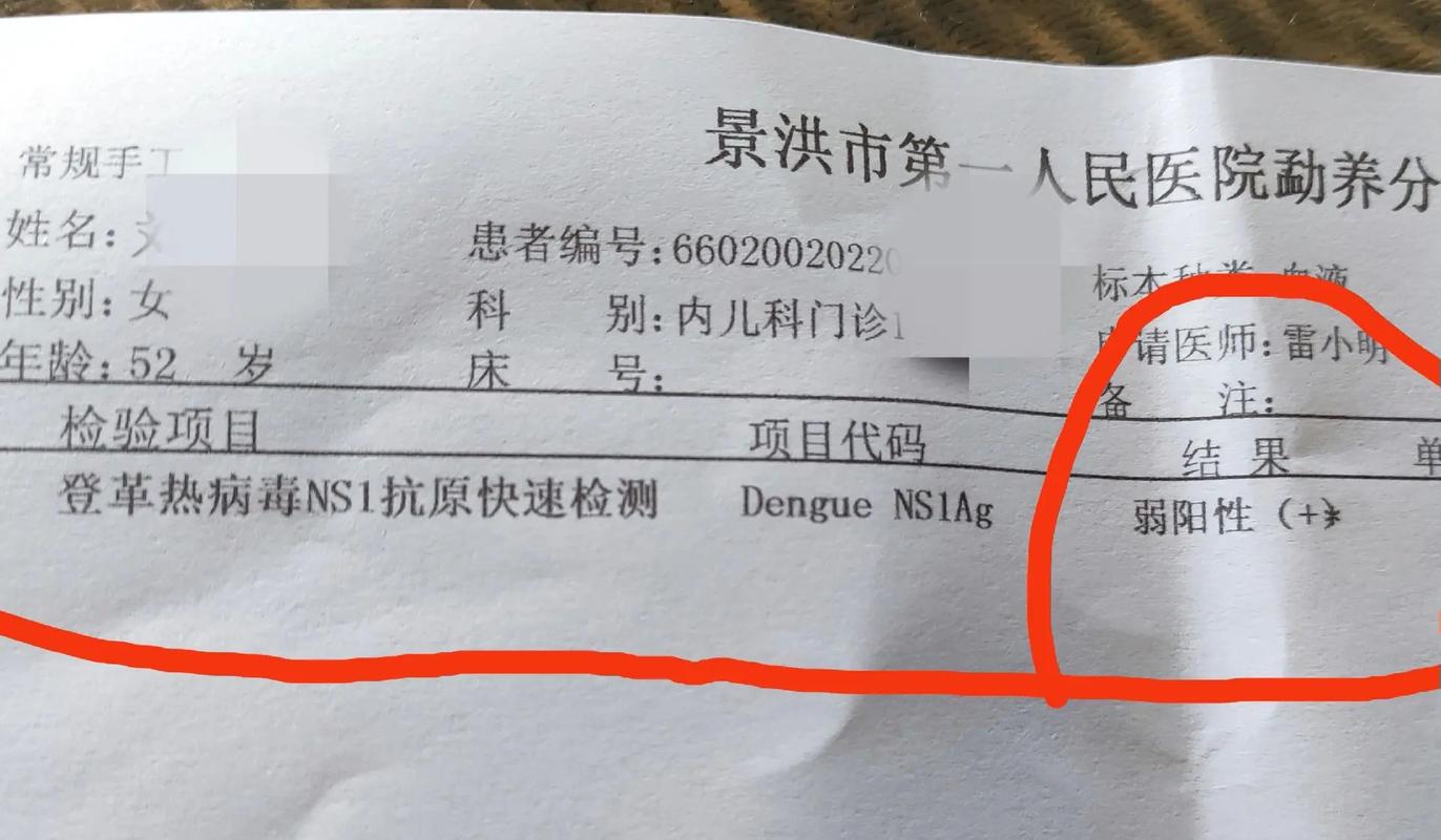 尼泊尔廓尔喀县报告超过1200名登革热病例